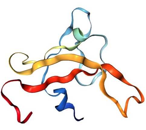 Molecular Visualisation Workshop