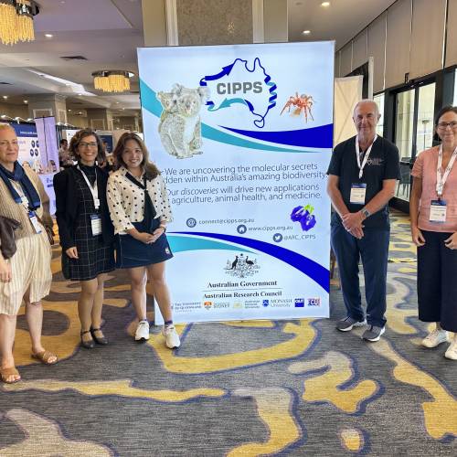 Conference Highlights – Tides USA